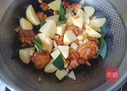 土豆炖鸡块的做法图解9
