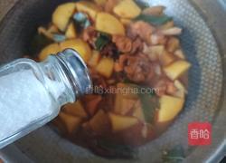 土豆炖鸡块的做法图解11