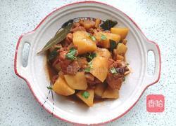 土豆炖鸡块的做法图解12