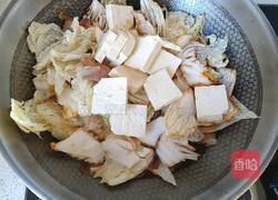 白菜炖豆腐的做法图解7