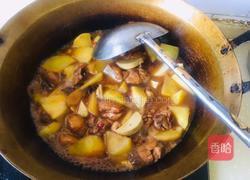鸡肉土豆炖粉条的做法图解8