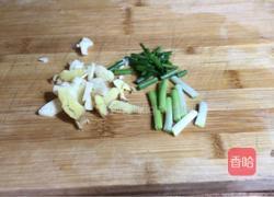 白萝卜鲫鱼汤的做法图解4