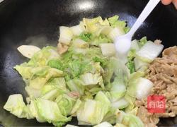 白菜炒肉的做法图解7