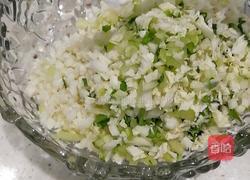 白菜素馅水饺的做法图解3