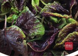 苋菜炒鸡蛋的做法图解7