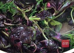 苋菜炒鸡蛋的做法图解8