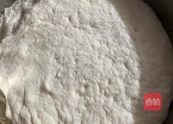 胡萝卜樱猪肉包的做法图解4