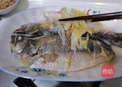 清蒸鲈鱼的做法图解5