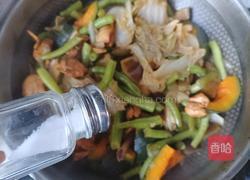 鸡肉烩菜的做法图解14