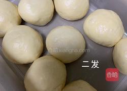 蜂蜜脆底小面包的做法图解3