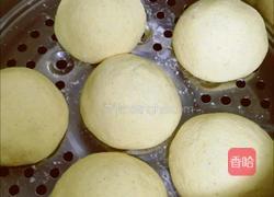 小白菜玉米面包子的做法图解13