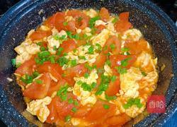 西红柿炒蛋的做法图解10