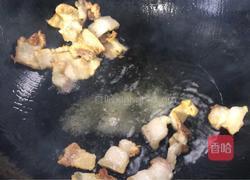 小白菜木耳烧豆腐的做法图解7