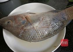 豆腐鲫鱼汤的做法图解2