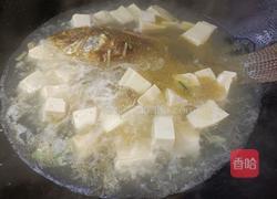 豆腐鲫鱼汤的做法图解7