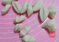 鱼肉馅饺子的做法图解4