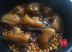 黄豆炖猪蹄的做法图解14