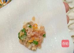 胡萝卜猪肉云吞的做法图解8