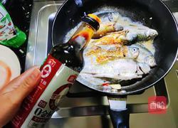 鲫鱼粉丝煲的做法图解5