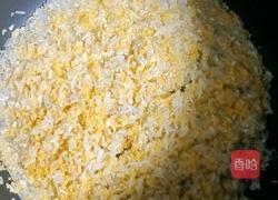 玉米胡萝卜排骨粥的做法图解7