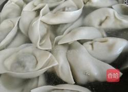 茴香猪肉饺子的做法图解11