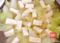 白菜炖豆腐的做法图解8