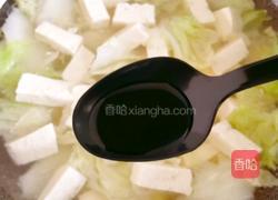 白菜炖豆腐的做法图解9