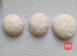 葡萄干吐司(一次发酵)的做法图解6