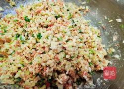 鸡肉萝卜丸子(不焯水)的做法图解4