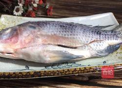 香菜烧鲫鱼的做法图解2