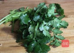 香菜烧鲫鱼的做法图解4
