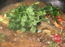 香菜烧鲫鱼的做法图解10