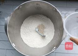 猪肉豆角馅包子的做法图解4