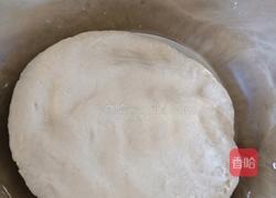 圆白菜鸡蛋粉条素馅包子的做法图解3