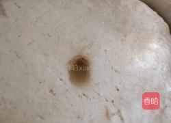 萝卜粉素馅包子的做法图解18