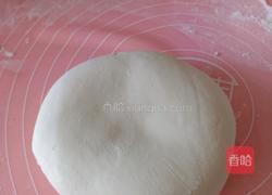 萝卜粉素馅包子的做法图解19