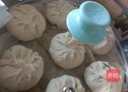 圆白菜鸡蛋粉条素馅包子的做法图解21