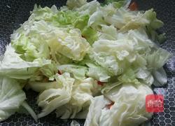 芽白肚条的做法图解7