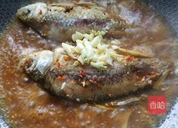 大葱鲫鱼的做法图解7