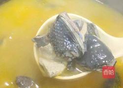 金花胶乌鸡汤的做法图解7