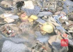 金花胶乌鸡汤的做法图解3