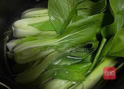 蒜蓉上海青的做法图解3