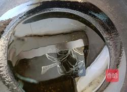 萝卜粉素馅包子的做法图解16