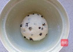 蔓越莓菠萝包的做法图解4