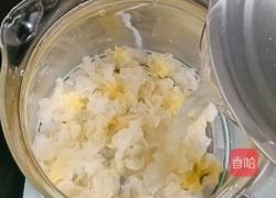 苹果银耳酒酿的做法图解3