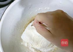 手工什锦煎饺的做法图解1