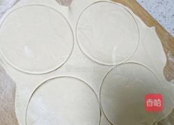 手工什锦煎饺的做法图解4