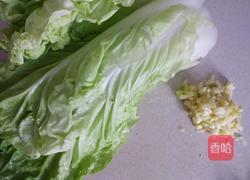 蒜蓉芽白的做法图解1