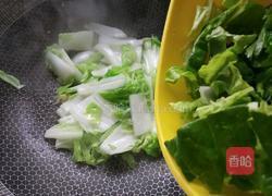 蒜蓉芽白的做法图解5