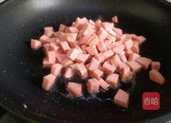 土豆洋葱焖饭的做法图解6